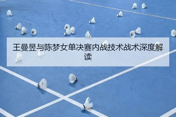 王曼昱与陈梦女单决赛内战技术战术深度解读 - Oulu